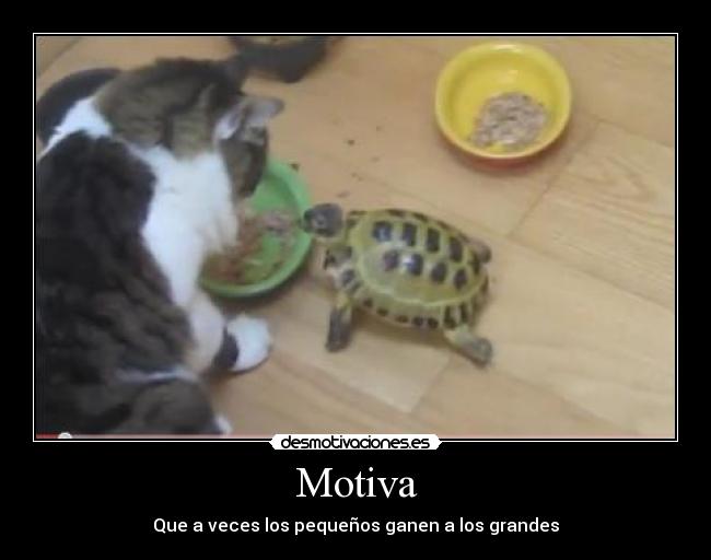 Motiva - Que a veces los pequeños ganen a los grandes