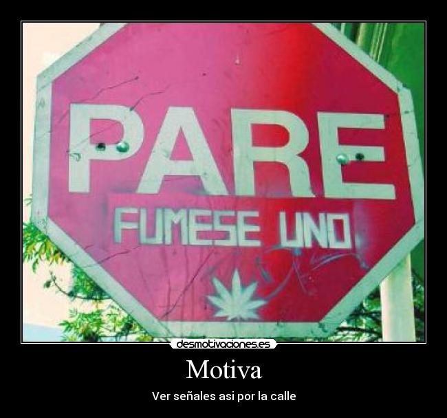 Motiva - 