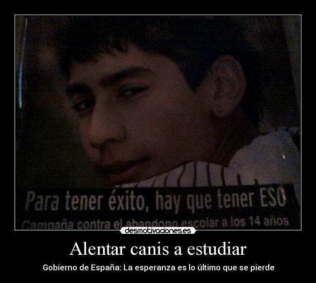 Alentar canis a estudiar - Gobierno de España: La esperanza es lo último que se pierde