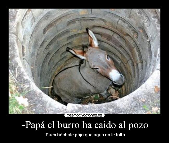 -Papá el burro ha caido al pozo - -Pues héchale paja que agua no le falta