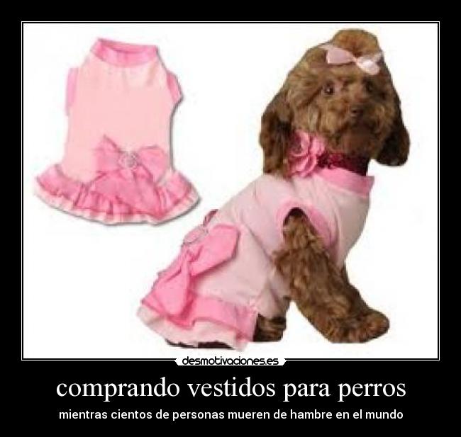 carteles sdfs desmotivaciones