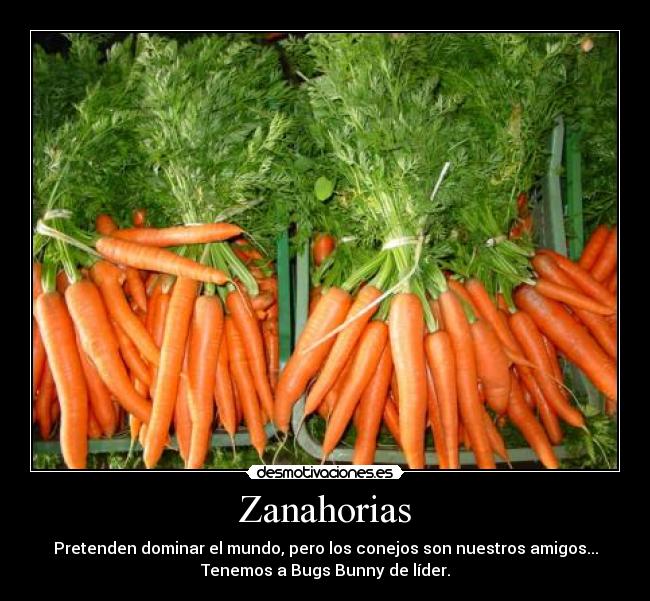 Zanahorias - Pretenden dominar el mundo, pero los conejos son nuestros amigos...
Tenemos a Bugs Bunny de líder.