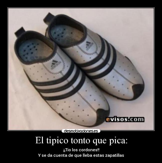 carteles tonto zapatillas desmotivaciones