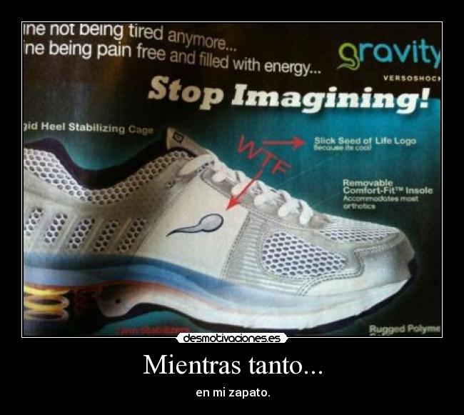 Mientras tanto... - en mi zapato.