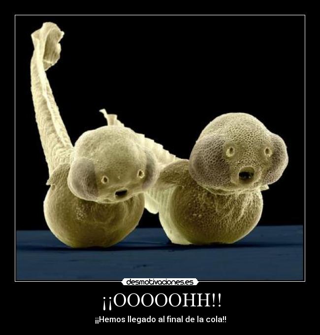 ¡¡OOOOOHH!! - ¡¡Hemos llegado al final de la cola!!