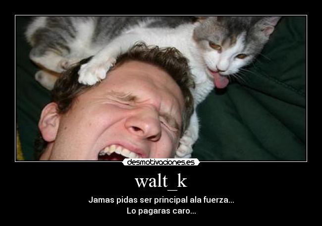 walt_k - Jamas pidas ser principal ala fuerza...
Lo pagaras caro...