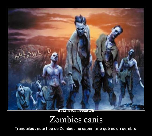 Zombies canis - 