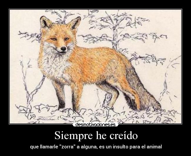 Siempre he creído - que llamarle zorra a alguna, es un insulto para el animal