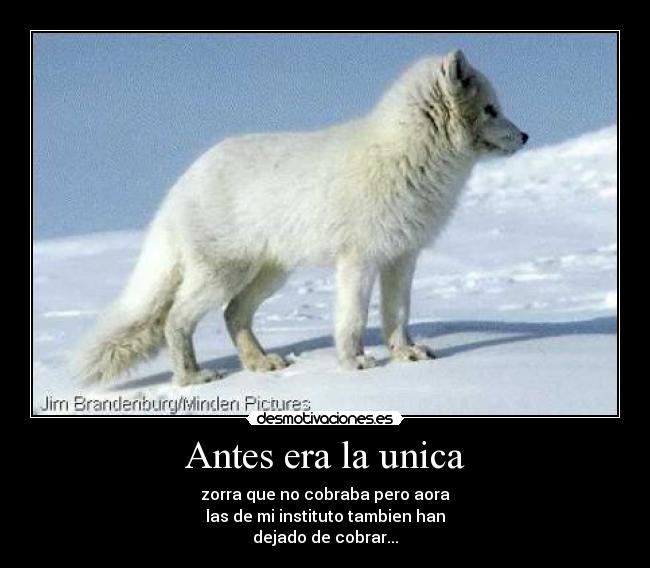 Antes era la unica - zorra que no cobraba pero aora
las de mi instituto tambien han
dejado de cobrar...