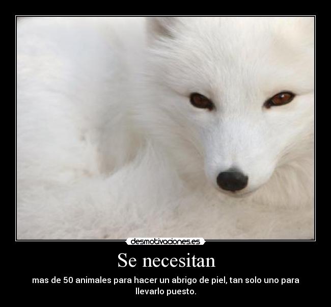 Se necesitan - 