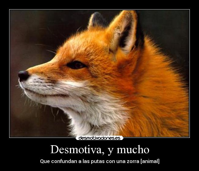 carteles zorro desmotiva putas animal desmotivaciones