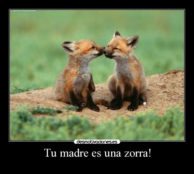 Tu madre es una zorra! -