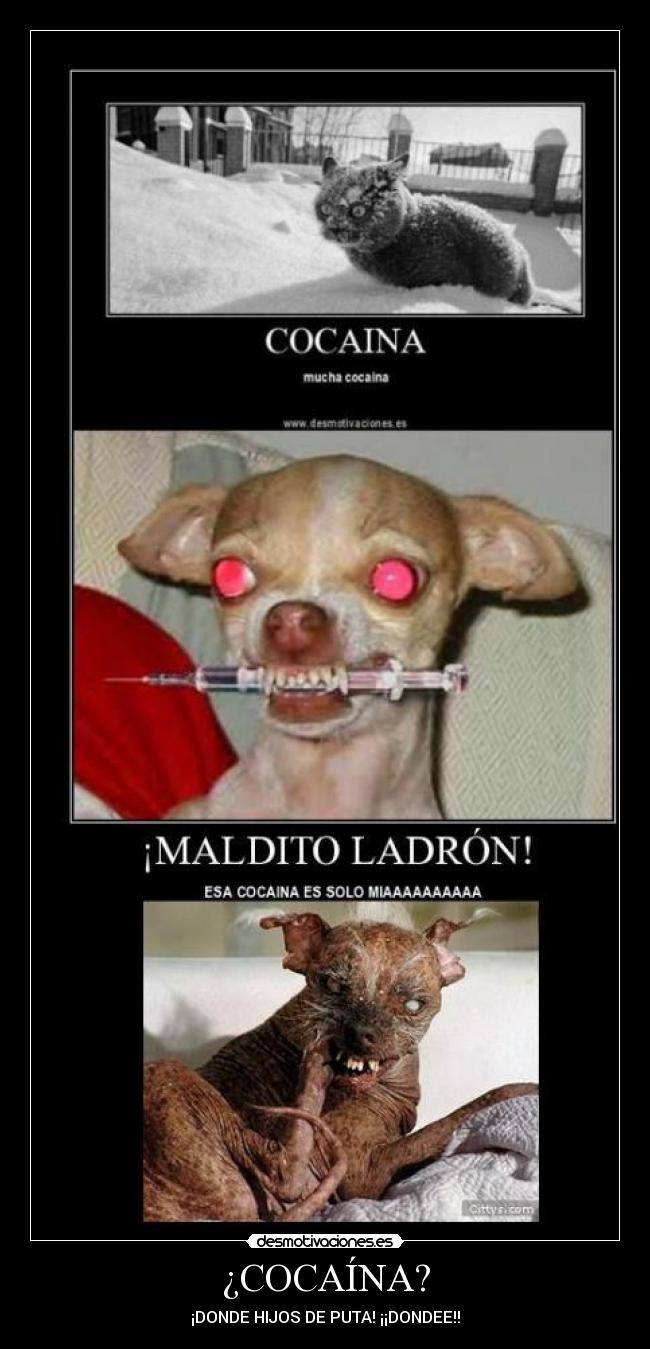 ¿COCAÍNA? -