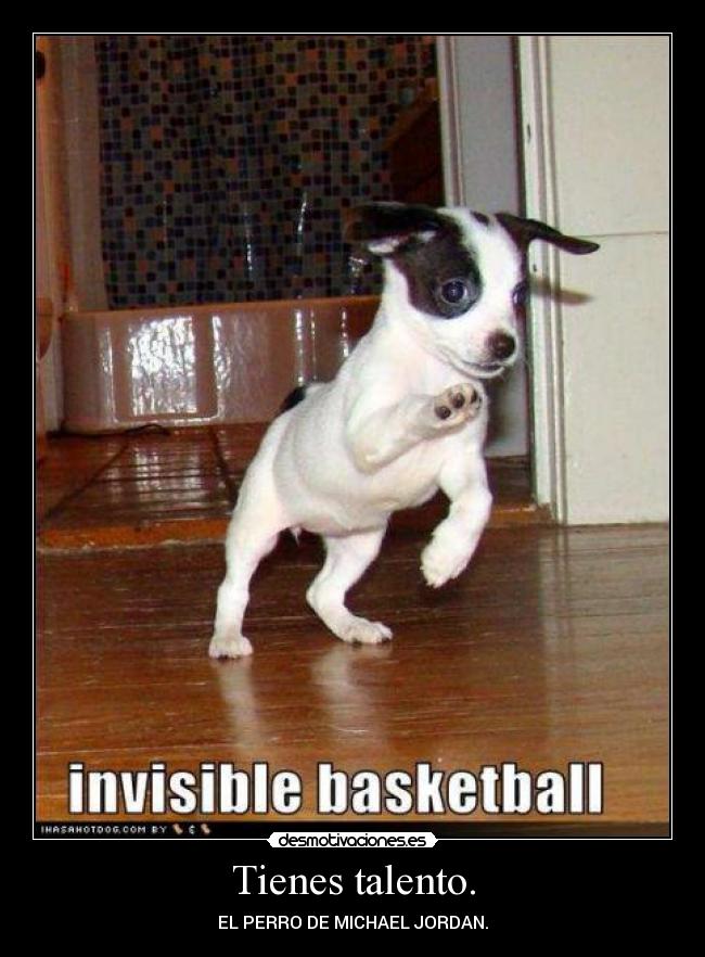Tienes talento. - EL PERRO DE MICHAEL JORDAN.