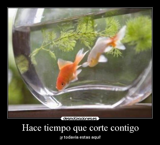 Hace tiempo que corte contigo - 