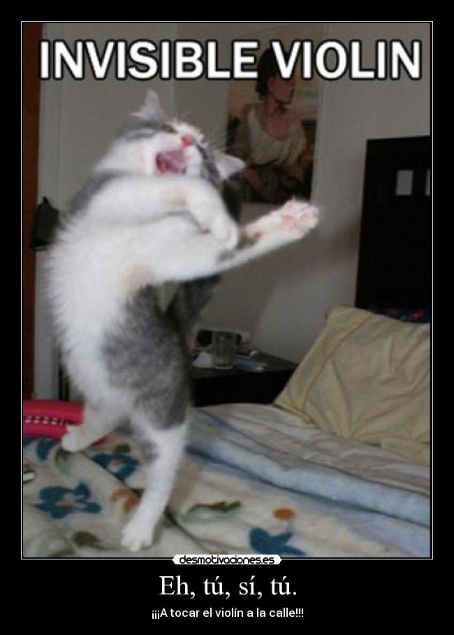 Eh, tú, sí, tú. -