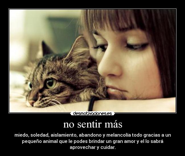 carteles suele pasar desmotivaciones