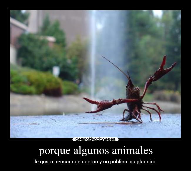porque algunos animales -