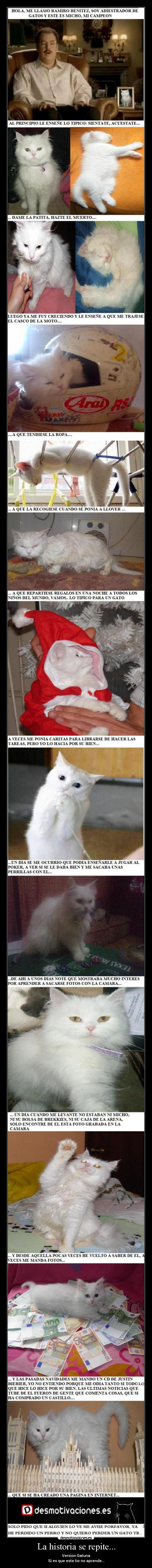 La historia se repite... - Version Gatuna
Si es que este tio no aprende...