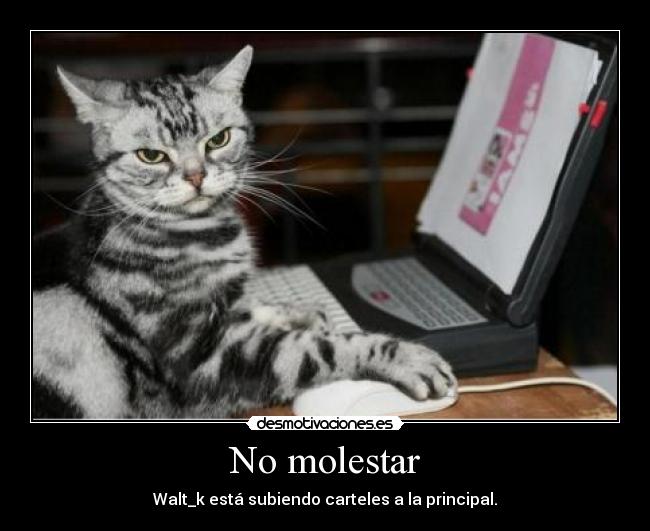 No molestar -