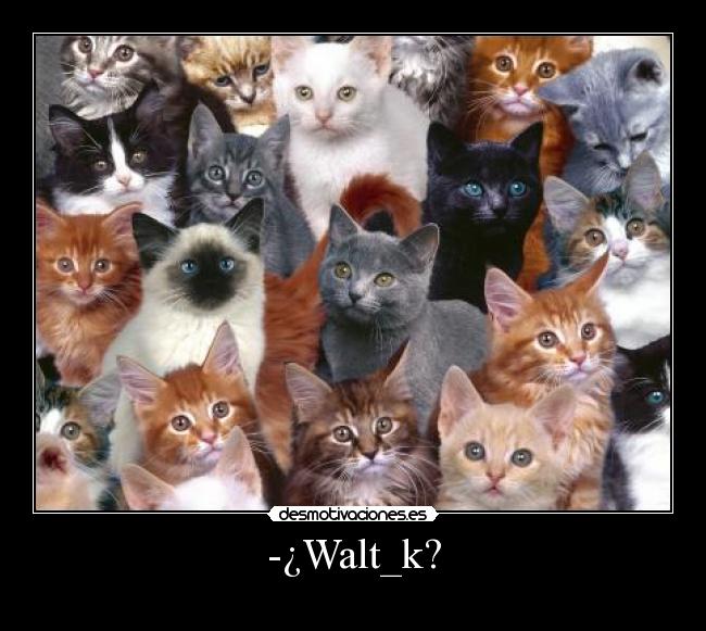 -¿Walt_k? -