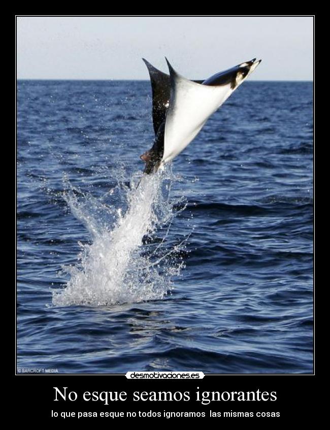 No esque seamos ignorantes -