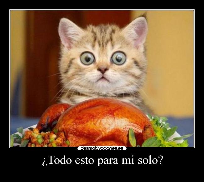 ¿Todo esto para mi solo? - 