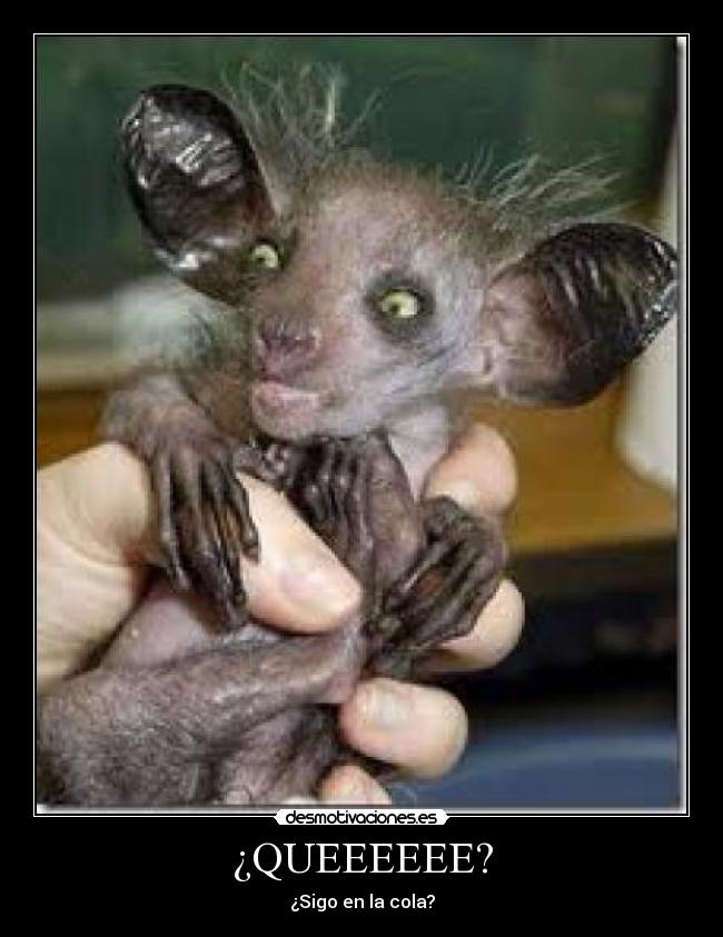 ¿QUEEEEEE? - ¿Sigo en la cola?