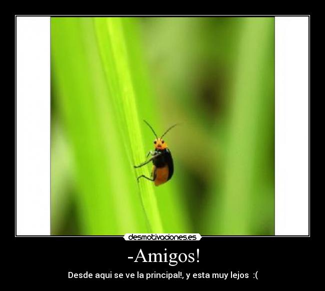 -Amigos! - Desde aqui se ve la principal!, y esta muy lejos  :(
