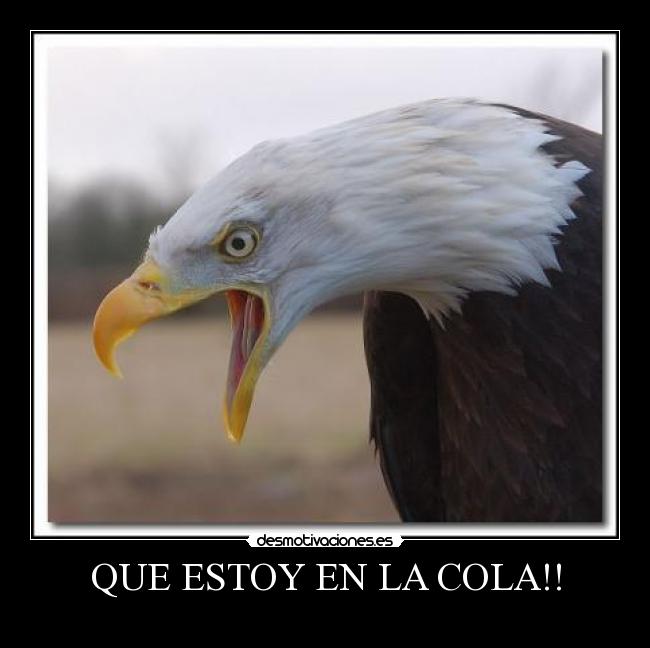 carteles albertyo15 desmotivaciones