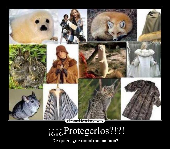 ¡¿¡¿Protegerlos?!?! - De quien, ¿de nosotros mismos?