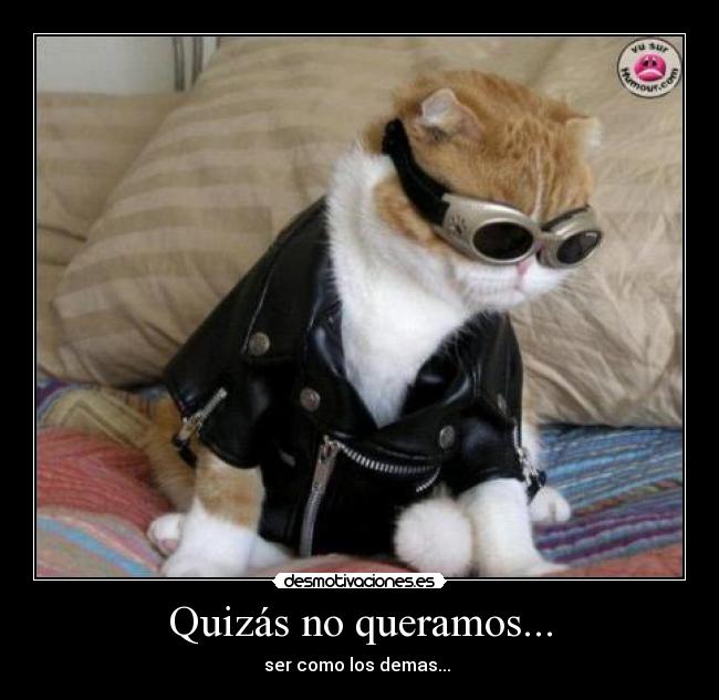 Quizás no queramos... -