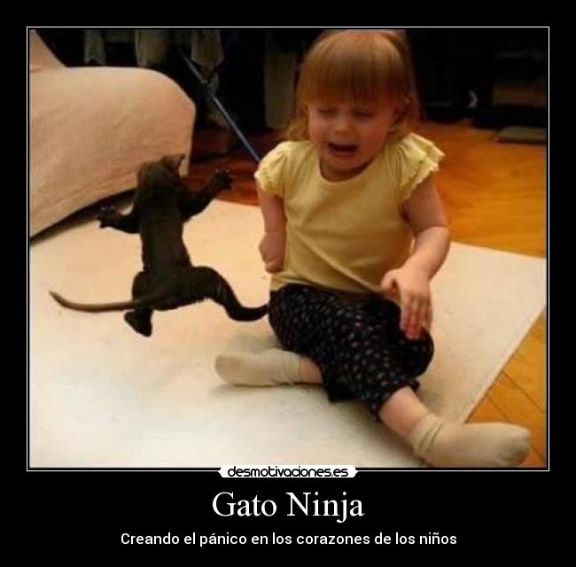 Gato Ninja - Creando el pánico en los corazones de los niños