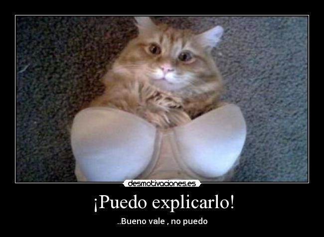 ¡Puedo explicarlo! - ..Bueno vale , no puedo