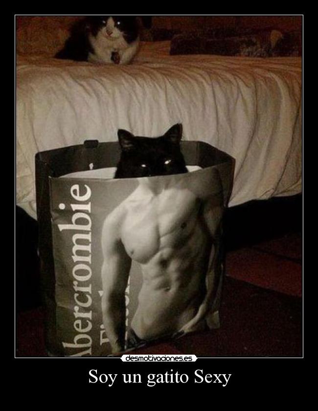 Soy un gatito Sexy -