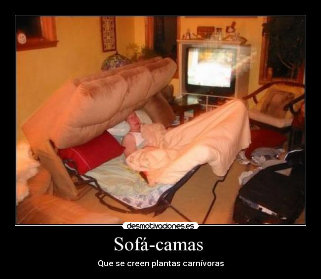 Sofá-camas - Que se creen plantas carnívoras