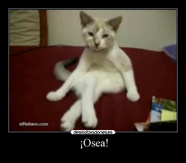 ¡Osea! -