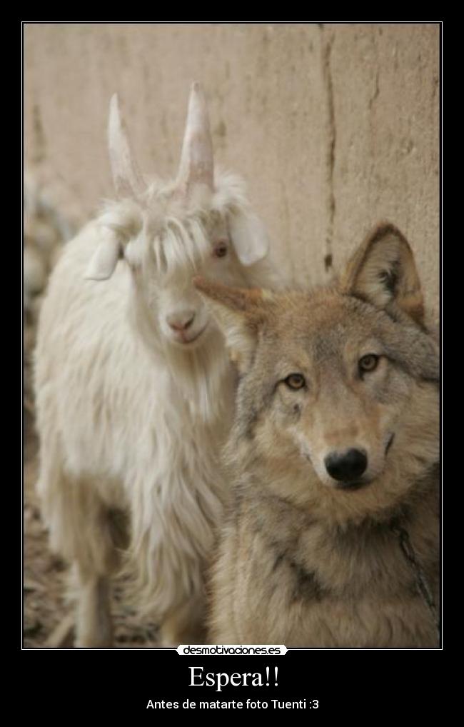 Espera!! - 