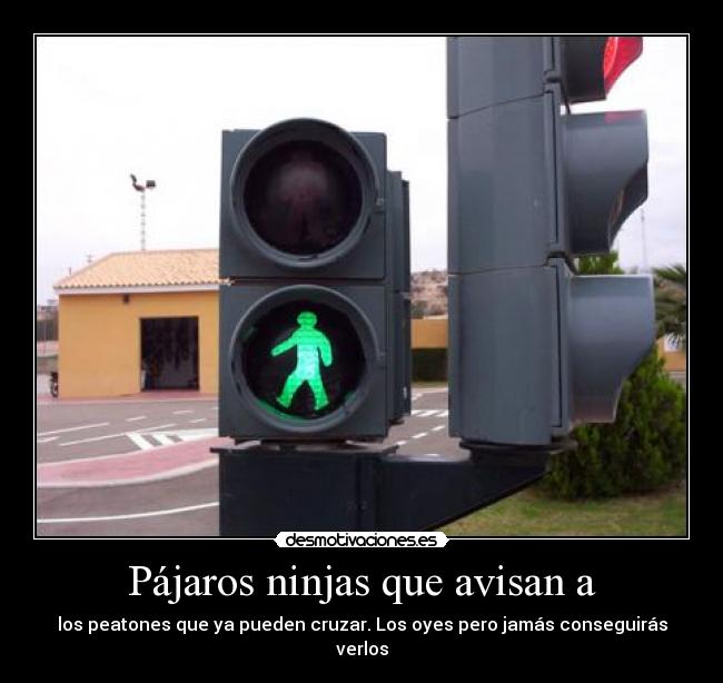 carteles pajaros ninjas los semaforos desmotivaciones