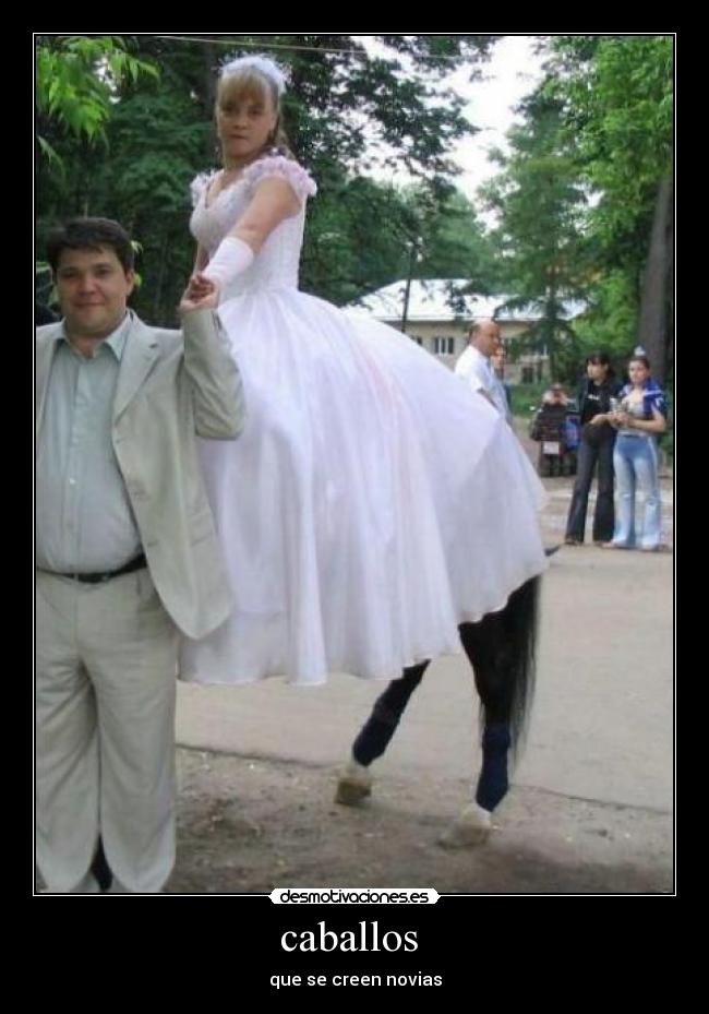 caballos  - que se creen novias