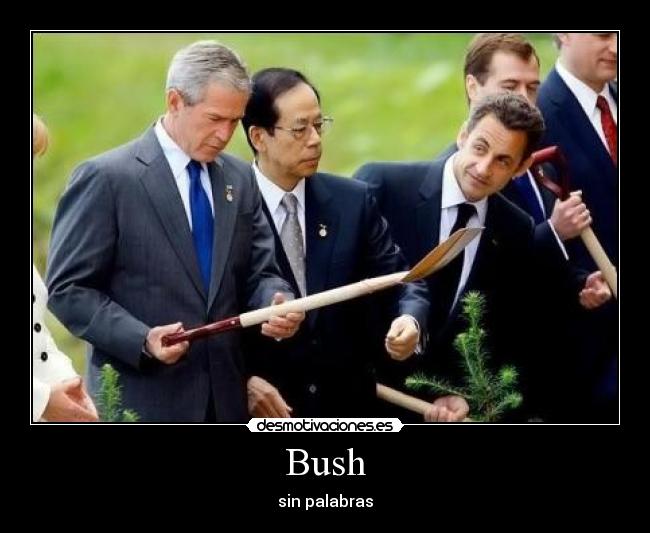 Bush -