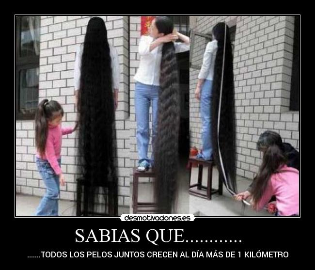 SABIAS QUE............ -