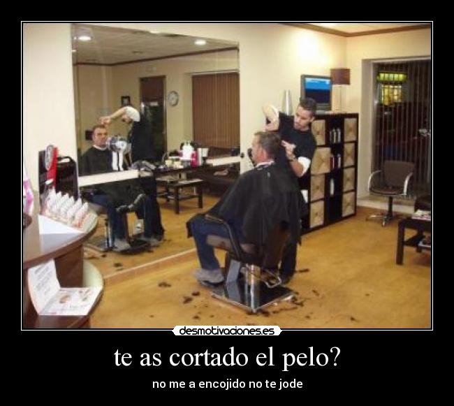 te as cortado el pelo? - no me a encojido no te jode