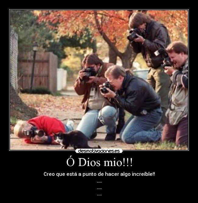 Ó Dios mio!!! - Creo que está a punto de hacer algo increíble!!
....
....
....