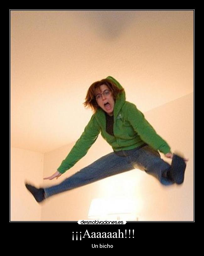 ¡¡¡Aaaaaah!!! - Un bicho