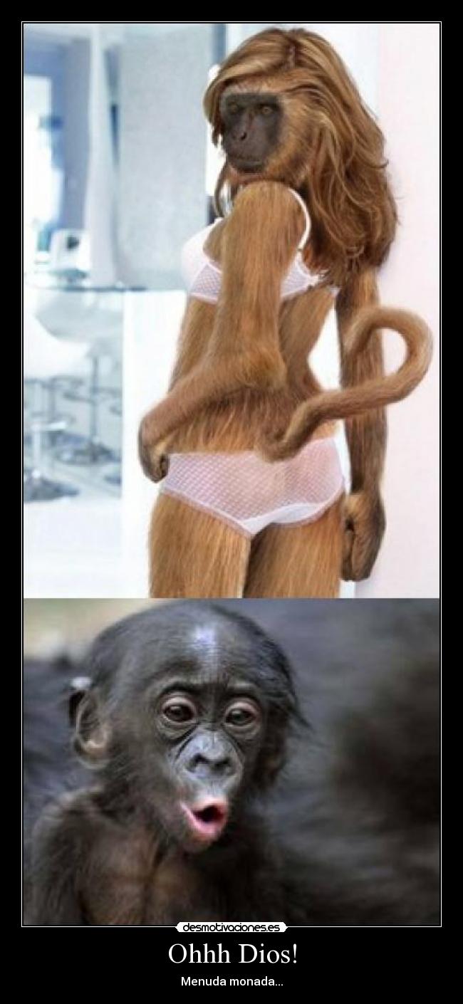 Ohhh Dios! - 