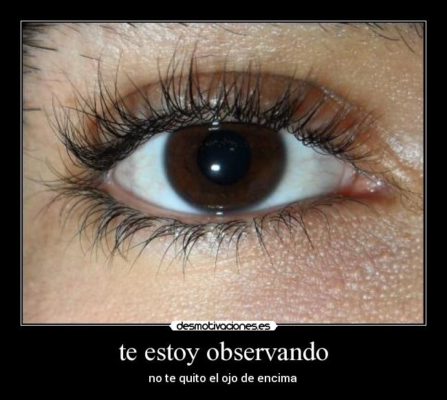 te estoy observando - no te quito el ojo de encima 