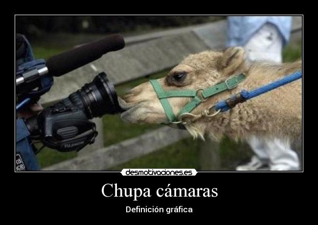 Chupa cámaras -