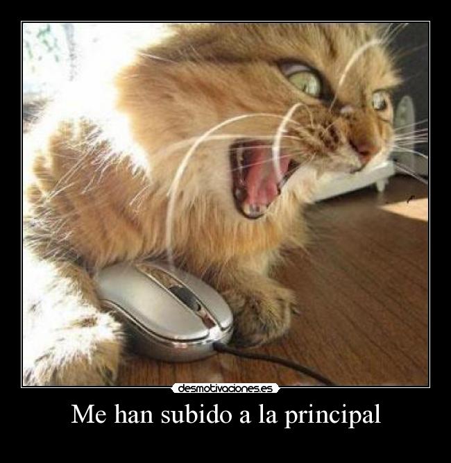 Me han subido a la principal -