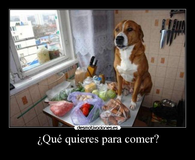 ¿Qué quieres para comer? -